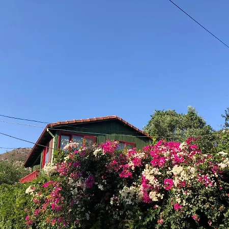 Cozy House With Balcony And Backyard Surrounded By Nature In Bodrum アパート